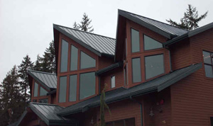 Residential Roof
