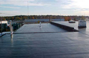 Business Roofing