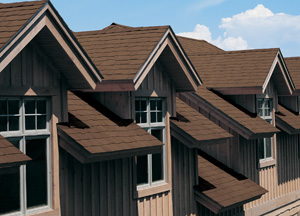 Home Roof Repair